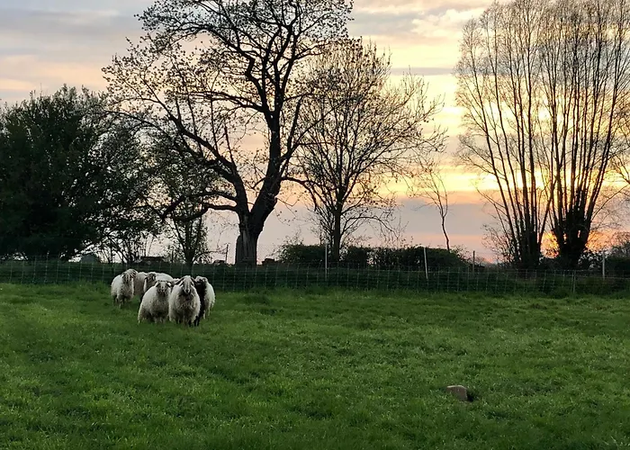 A La Bonheur Meteren